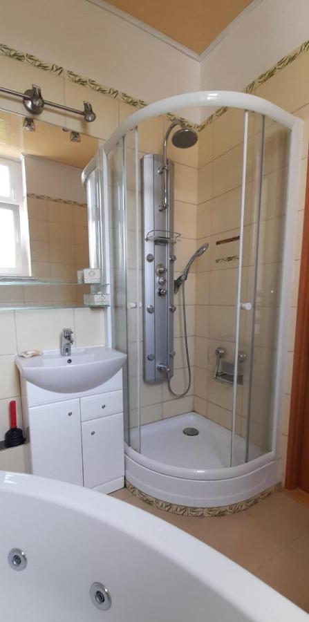 Apartament Kasztanowy Apartment Gliwice Exterior photo